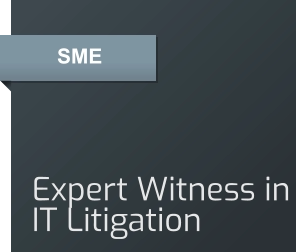 SME Expert Witness in IT Litigation